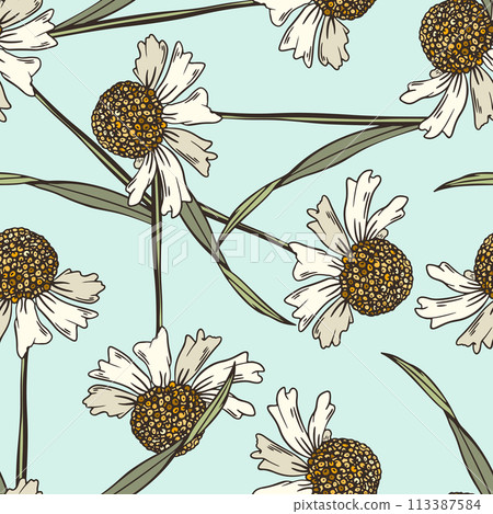 Vintage Floral Background, Hand Drawn Retro Flower Seamless Pattern 113387584
