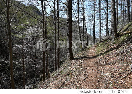 攀登長野縣御座山 113387693