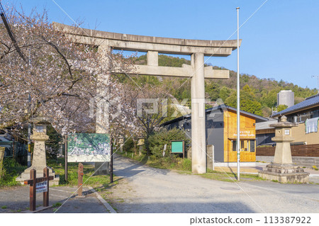 大石神社的櫻花（京都市山科區） 113387922
