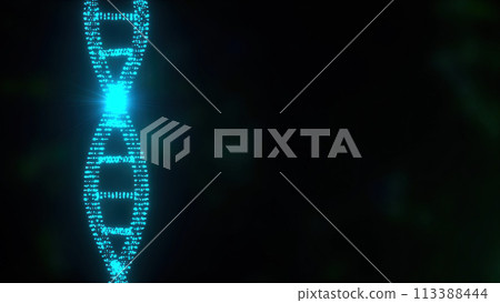 Abstract DNA helix 113388444