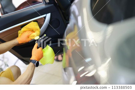 Professional dry cleaning of car interior and doors closeup 113388503
