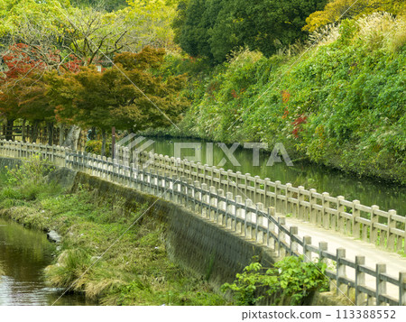 秋天的姬路:千姬路與姬路城護城河 秋天的姬路:千姬路與姬路城護城河 113388552