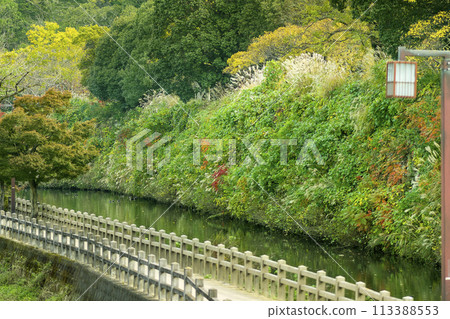秋天的姬路:千姬路與姬路城護城河 秋天的姬路:千姬路與姬路城護城河 113388553