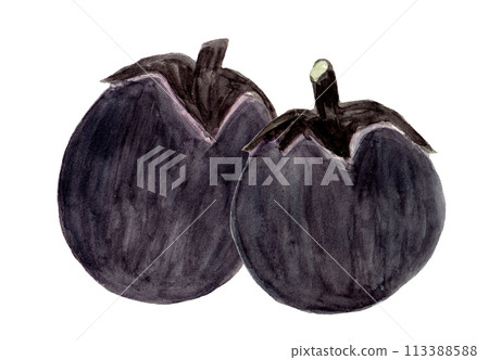 手繪水彩插圖堆疊的 Yamatomaru 茄子 113388588