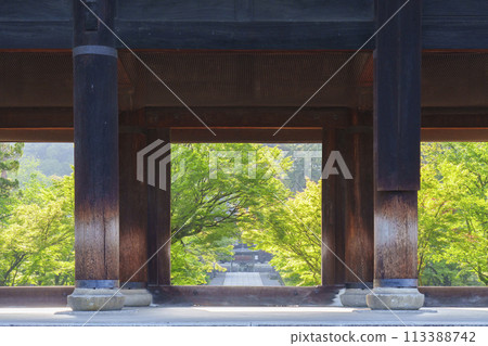 Early summer in Kyoto: Sanmon Gate of Nanzenji Temple in the early morning, the approach lined with beautiful fresh greenery 113388742