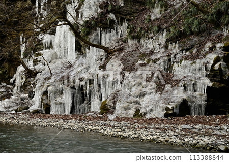 Icicles of Misotsuchi, Otaki, Chichibu City Icicles of Misotsuchi, Otaki, Chichibu City 113388844