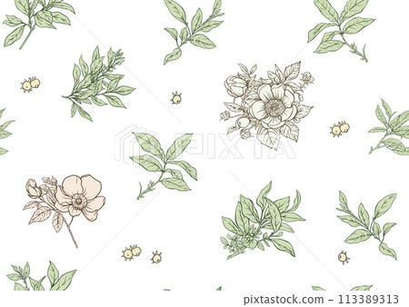 Green tea branch with leaves and wild rose flowers and berries. 113389313