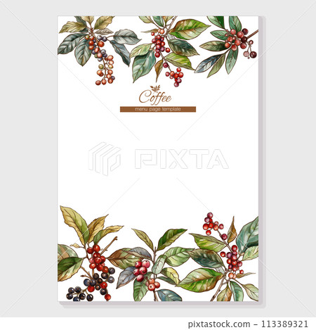 Green tea branch and Coffee tree branch with leaves and berries Green tea branch and Coffee tree branch with leaves and berries 113389321