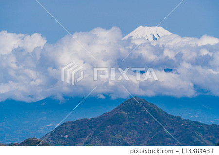 [Shizuoka Prefecture] Numazu Alps: Cherry blossoms scattered among the fresh greenery of the mountains and Mount Fuji peeking through the clouds 113389431