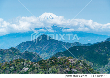 [靜岡縣]沼津阿爾卑斯山，櫻花點綴在清新的綠色山脈中，富士山出現在雲間 113389438