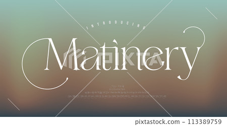 Luxury elegant alphabet letters logo font and number. Classic Vintage Serif Lettering Minimal Fashion. Typography decoration fonts for, wedding, logos. vector illustration 113389759