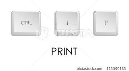 Print key combination. Keyboard shortcut for quickly executing command in operating system. Isolated vector on white background 113390183