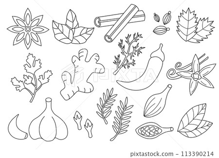 Set spices, condiments and herbs. Doodle Outline Line art collection icon, logo, stickers. Black and white. Vector flat illustration. Set spices, condiments and herbs. Doodle Outline Line art collection icon, logo, stickers. Black and white. Vector flat illustration. 113390214