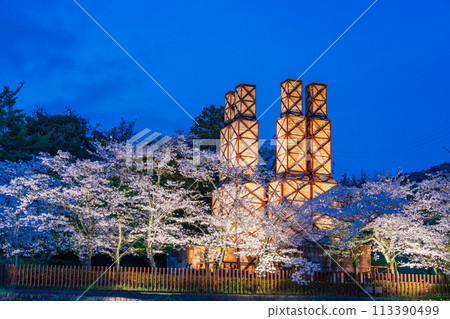 [Shizuoka Prefecture] Nirayama Reverberatory Furnace Illumination with Cherry Blossoms in Full Bloom 113390499