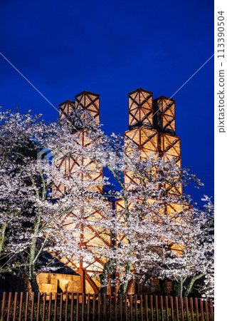 [Shizuoka Prefecture] Nirayama Reverberatory Furnace Illumination with Cherry Blossoms in Full Bloom 113390504