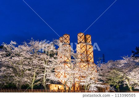 [Shizuoka Prefecture] Nirayama Reverberatory Furnace Illumination with Cherry Blossoms in Full Bloom 113390505