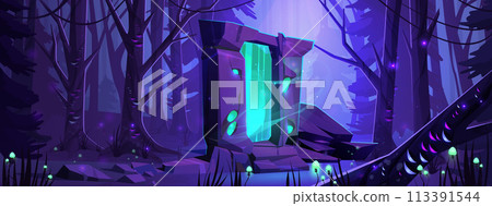 Magic fairy tale portal in night forest 113391544