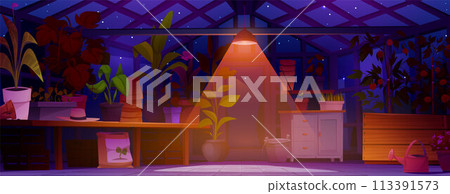 Flower pot in greenhouse garden interior at night Flower pot in greenhouse garden interior at night 113391573