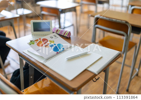 Textbooks and notebooks placed on classroom desks Textbooks and notebooks placed on classroom desks 113391864