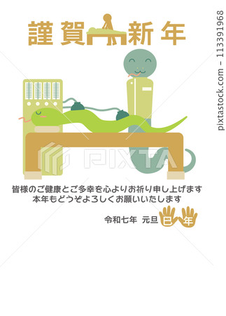 新年賀卡上有一條蛇在整骨診所、按摩院等處進行治療的插圖。 113391968