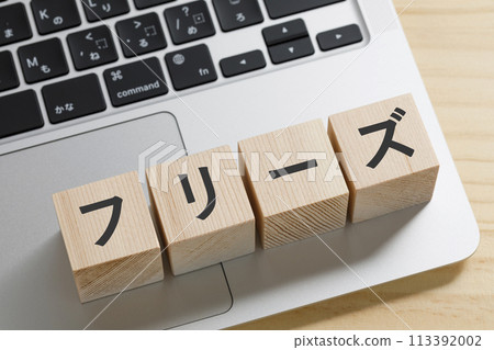 Computer freeze image 113392002