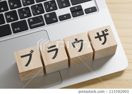 Computer browser image Computer browser image 113392003