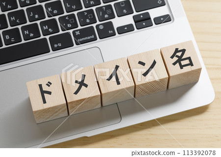 電腦網域圖片 113392078