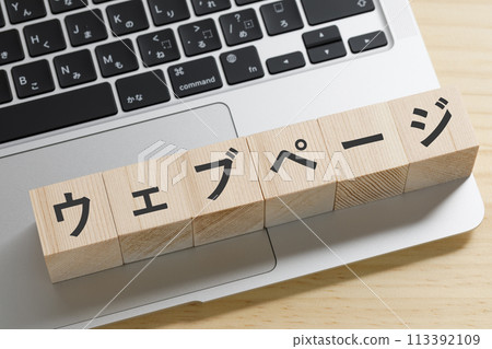 電腦網頁圖片 113392109