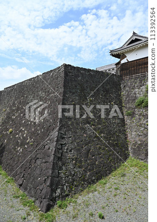 熊本城 熊本城 113392564