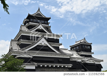 Kumamoto Castle  113392566