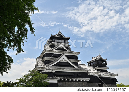 Kumamoto Castle  113392567