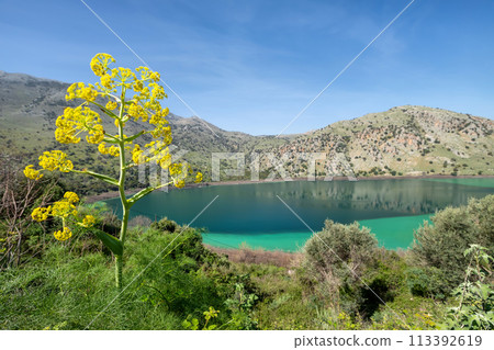 Lake Kournas on Crete island, Greece 113392619