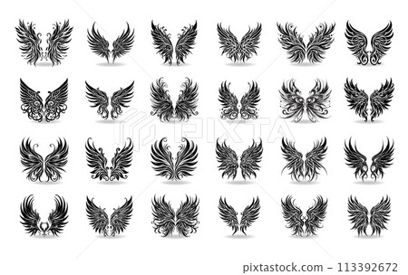 Collection of vector wings the style of engraving 113392672