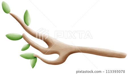 Branches for birds to perch on Branches for birds to perch on 113393078
