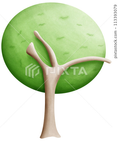 Trees that are fully grown Trees that are fully grown 113393079