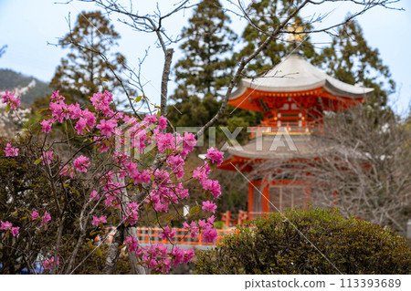 Henshoto Tower and flowers at Shohoji Temple Henshoto Tower and flowers at Shohoji Temple 113393689