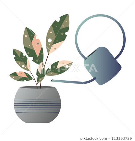 Vector Trendy Houseplant in round pot and watering can Flat design 113393729