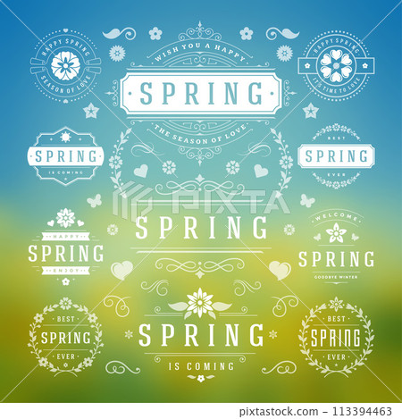 Spring Typographic Design Set. Retro and Vintage Style Templates. 113394463
