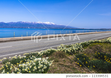 [Niigata Prefecture_Sado_Echigo-Nagahama] Let's take it easy in Echigo-Nagahama in April 113394531