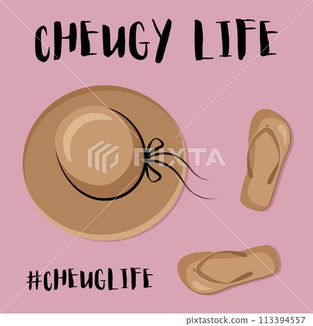 Cheugy life. Brimmed hat and flip flops are cheuglife elements. Millenial trends. Quotes about old-fashioned and untrendy stuff. Vector illustration. 113394557