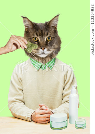 Relaxing treatments for cats. Cat having muzzle lifting massage with gua sha tool and skincare products on table. Contemporary art collage. Relaxing treatments for cats. Cat having muzzle lifting massage with gua sha tool and skincare products on table. Contemporary art collage. 113394988