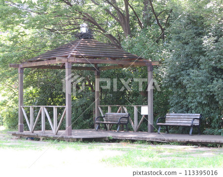 Lush park bench Lush park bench 113395016