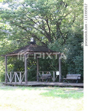 鬱鬱蔥蔥的公園長椅 鬱鬱蔥蔥的公園長椅 113395017