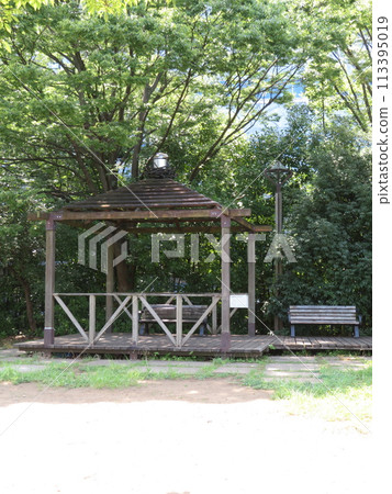 鬱鬱蔥蔥的公園長椅 鬱鬱蔥蔥的公園長椅 113395019