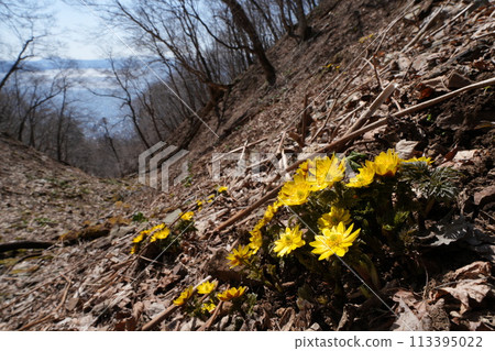 支笏湖山間盛開的北見福樹莊 113395022