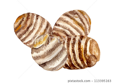 收穫和堆疊的紅薯插圖 113395163