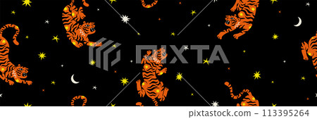 Boho celestial magic art tiger star comet flame fire background. Contemporary illustration seamless pattern in playful bohemian style. Mystic cosmic tarot aesthetic. Black red white yellow colors. 113395264
