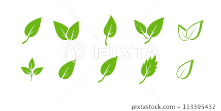 Green leaf icons set. Elements design for natural, eco, vegan. Leaves icon on isolated background. Collection green leaf. Vector 113395432