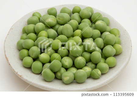 新鮮採摘的綠色一塊 113395609
