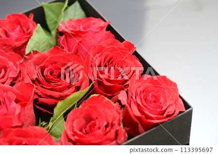 A black box containing a red rose 113395697